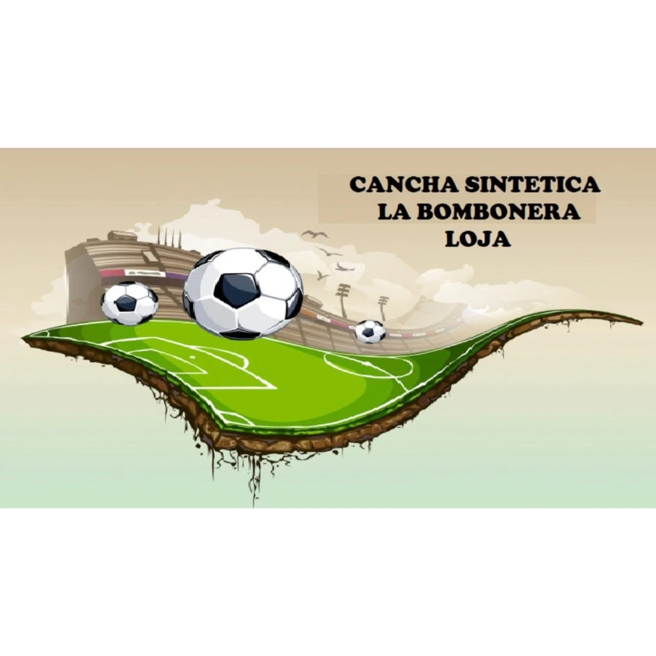 Canchas sintéticas la bombonera