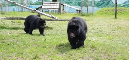 Zoológico Municipal